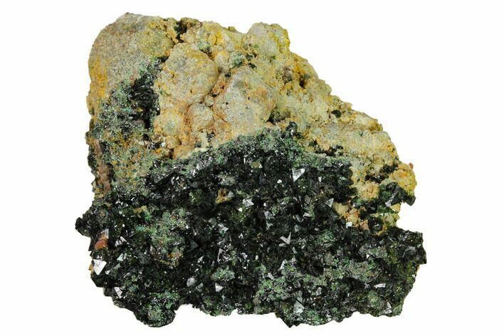 Deep-Green Libethenite Crystal Cluster #169810